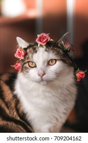 Beautiful Cat Wearing Flower Crown