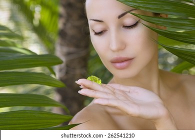 Download Aloe Vera Facial Mask Images Stock Photos Vectors Shutterstock Yellowimages Mockups