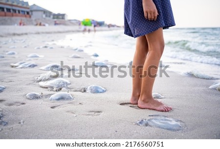A beautiful cautious tanned girl with a light scythe frame in a dark blue tunic carefully bypasses dead dangerous jellyfish, and carefully examines them on the sea coast with a sandy shore