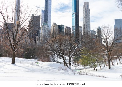 Beautiful Central Park Winter Landscape With Snow And The Midtown Manhattan Skyline In New York City