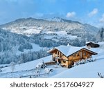 Beautiful chalet under the snow