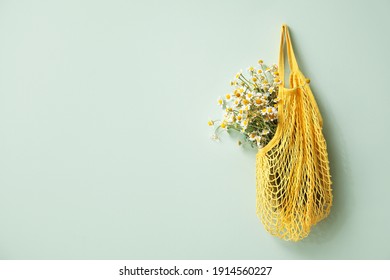 Beautiful Chamomiles In Bag Hanging On Color Wall