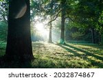 Beautiful Cherokee Park Louisville Kentucky in the summer morning light.  