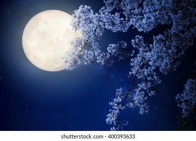 Beautiful cherry blossom (sakura flowers) with Milky Way star in night skies, full moon - Retro style artwork with vintage color tone(Elements of this moon image furnished by NASA)
