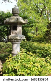 Beautiful Chicago Japanese Garden Photograpgy