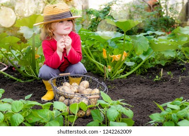 Beautiful Child Picking Up Vegetables From The Garden