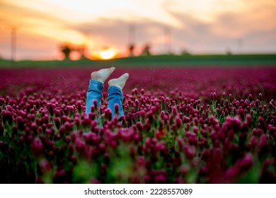 Beautiful children in gorgeous crimson clover field on sunset, springtime