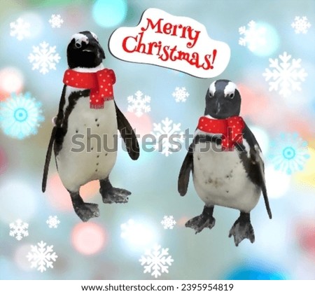 Beautiful Christmas card with snowflakes and real cute funny penguins 