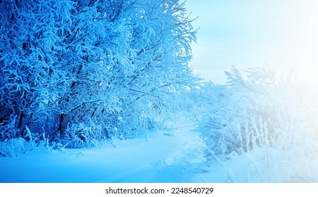 Beautiful Christmas landscape, Against the sunset sky,  Snow covered tree branches - Shutterstock ID 2248540729