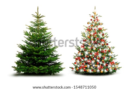 Beautiful christmas tree with Christmas Baubles isolated