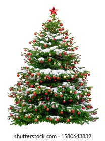 Beautiful Christmas tree decorated with red balls. Snowy Christmas tree wit red star isolated on white background.