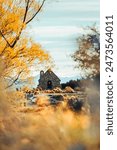 Beautiful Church of the Good Shepherd with yellow leaves tree in autumn at Lake Tekapo, New Zealand