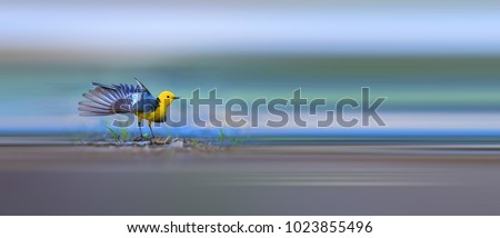 Similar – Image, Stock Photo snack bar Pet Bird 1