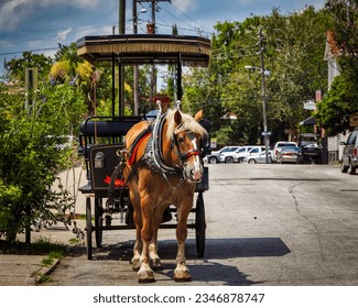 The beautiful city of Charleston, SC - Powered by Shutterstock