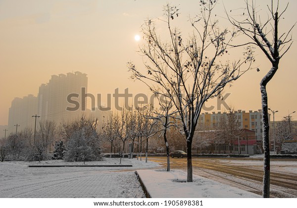 Beautiful city park, street snow\
