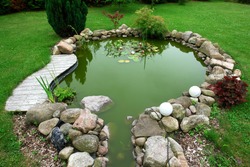 美丽的古典设计花园鱼池在一个良好的照顾后院园艺背景