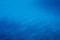 Top view on blue ocean waves, a Nature Photo by Olga_Z