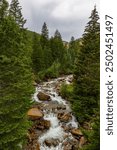 Beautiful Clear Creek in the Rocky Mountains near the Georgetown Loop Railroad station in Georgetown, Colorado