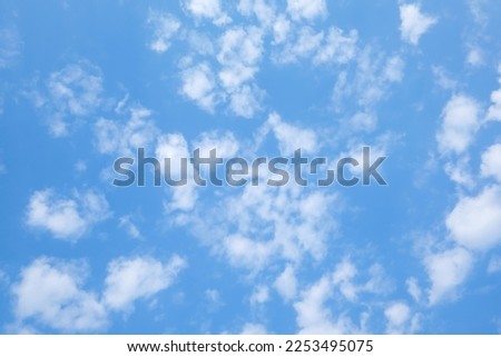 Similar – Image, Stock Photo Sky with little clouds and 2 different trees, bare and spring greenery
