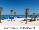 Beautiful Clearwater beach with palm trees in white sand in Florida.