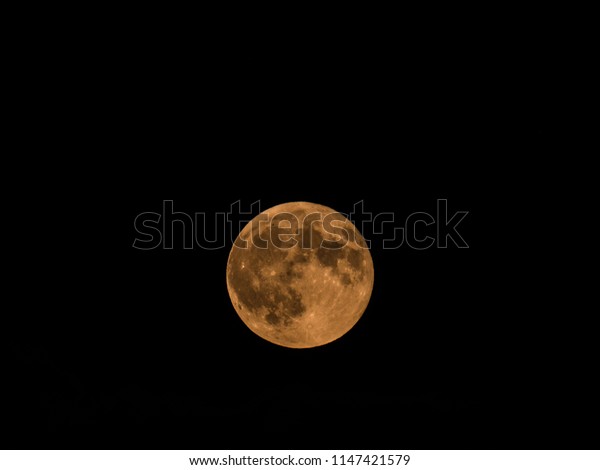 Beautiful close up photograph of a
full micro moon with a yellow hue in a dark black night
sky.