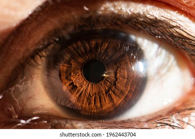 Beautiful close-up human eye. Macro photography. - Powered by Shutterstock