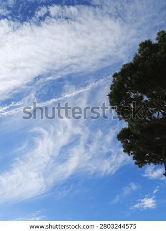 A beautiful cloud and blue sky