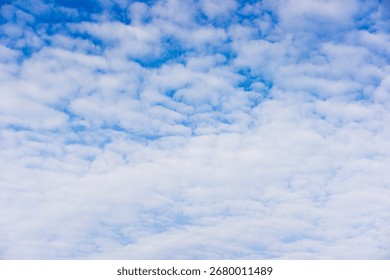 Beautiful Cloudscape of a Blue Sky with a Pattern of White Altocumulus Clouds