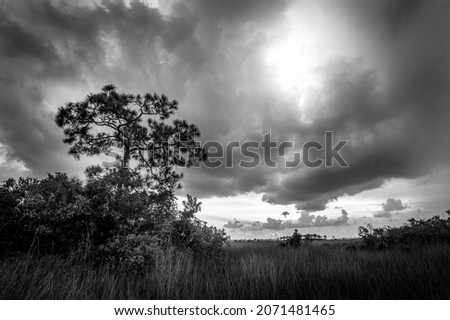 A beautiful cloudscape over the field