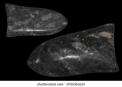 A beautiful clovis arrowhead replica