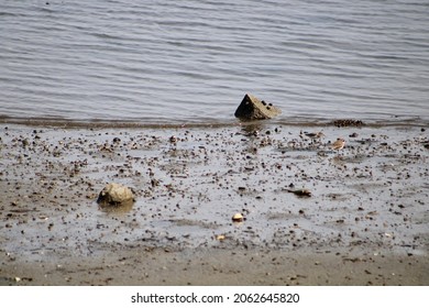 Beautiful Coast During Low Tide Beach Stock Photo 2062645820 | Shutterstock