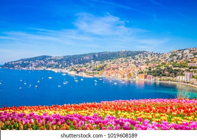 stam schreeuw Ga trouwen Riviera flowers Images, Stock Photos & Vectors | Shutterstock
