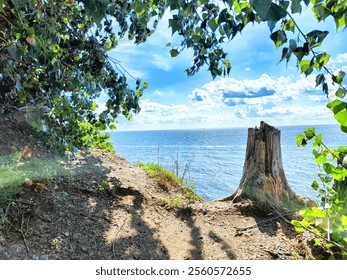 A beautiful coastal spot showcases a clear blue sea, gentle waves, and a tree stump, surrounded by vibrant foliage on a sunny day. - Powered by Shutterstock