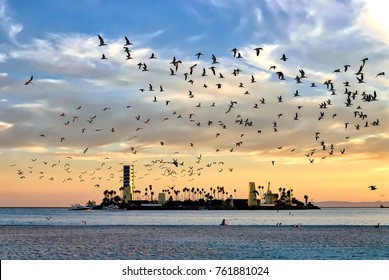 Beautiful coastal sunset scene in Long Beach, California; selective focus