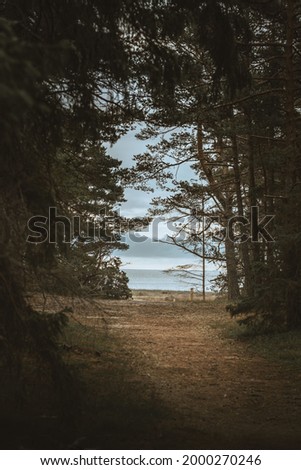 Similar – View of the turquoise sea in Canada framed by coniferous forest