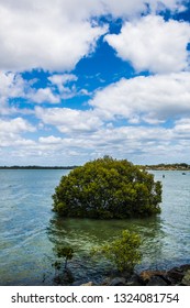 Beautiful Coastline, Tin Can Bay In Australia.