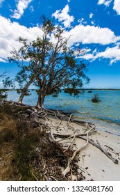 Beautiful Coastline, Tin Can Bay In Australia.