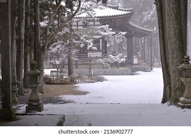 Beautiful cold season monk Japan