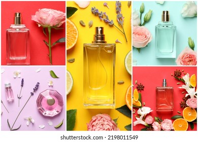 Beautiful Collage With Photos Of Luxury Perfume And Ingredients Represent Their Fragrance Notes On Different Color Backgrounds, Top View