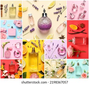 Beautiful collage with photos of luxury perfume and ingredients represent their fragrance notes on different color backgrounds, top view
