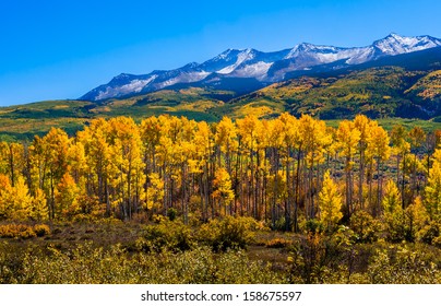 Beautiful Colorado with Aspen Trees in Autumn