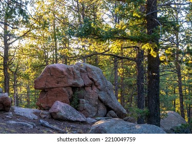Beautiful Colorado landscape. Forest and rock formation at Devil's Head Lookout trail just before sunset