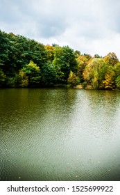 Beautiful colorful autumn leaves and trees on the lake