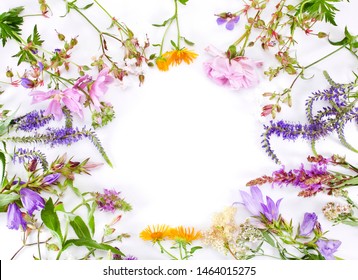 Beautiful Colorful Blooming Wild Flowers Isolated On A White Background. Flower Frame With A Text Space.