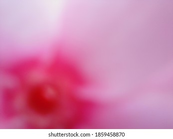 Beautiful colorful blur background image. - Shutterstock ID 1859458870