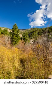 Beautiful Colorful Fall Mountain Landscape In Montana.