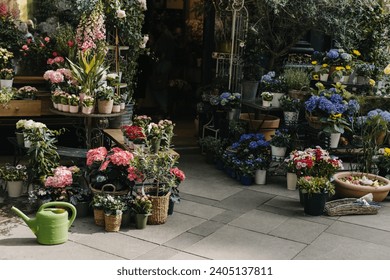 Beautiful colorful flowers and plants in a pots in a Flower shop. Selective focus. - Powered by Shutterstock