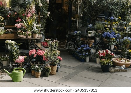 Beautiful colorful flowers and plants in a pots in a Flower shop. Selective focus.