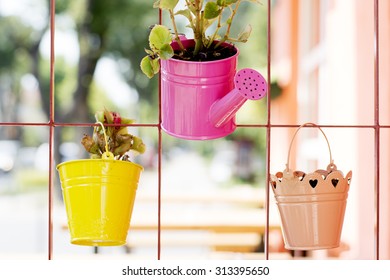 Beautiful Colorful Idea For Small Flower Pots In Home Garden Where There Is Not Very Big Space To Grow Different Species.