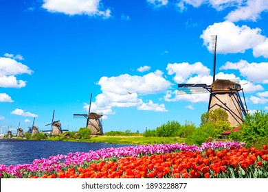 Beautiful colorful spring landscape in Netherlands, Europe. Famous windmills in Kinderdijk village with tulips flowers flowerbed in Holland. Famous tourist attraction in Holland.
